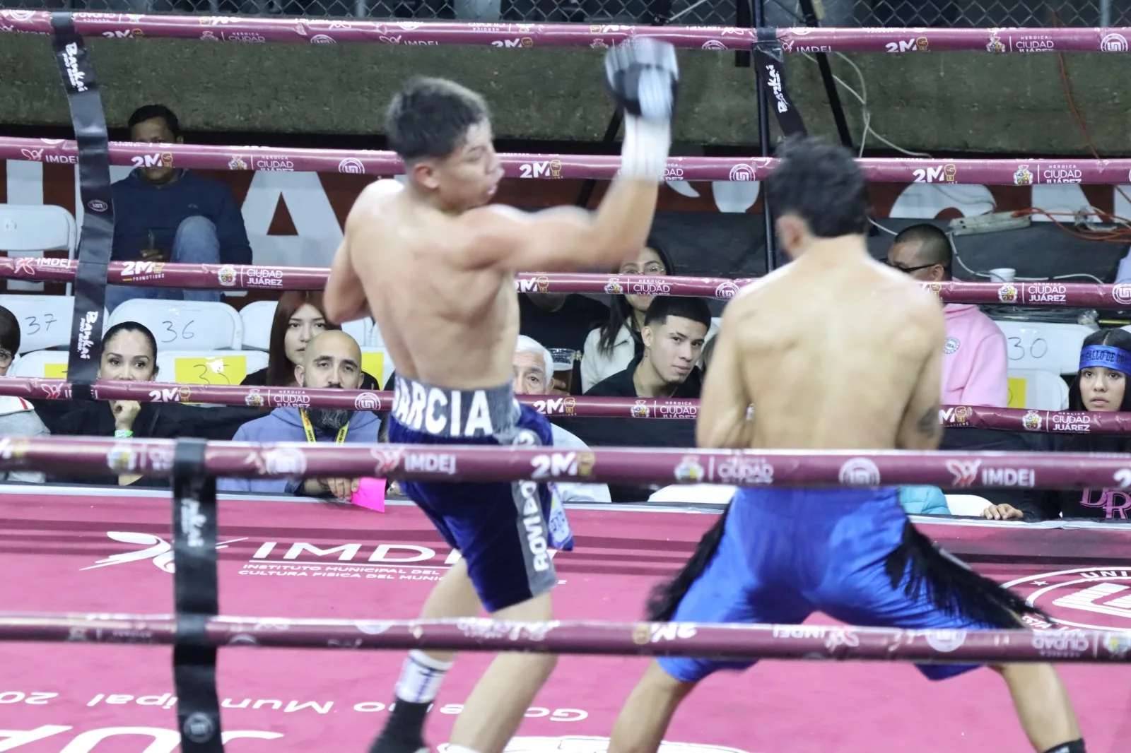 Boxeadores de Ciudad Juárez buscan clasificar al Mundial Sub-19 en Montenegro desde Tepic - imagen 1