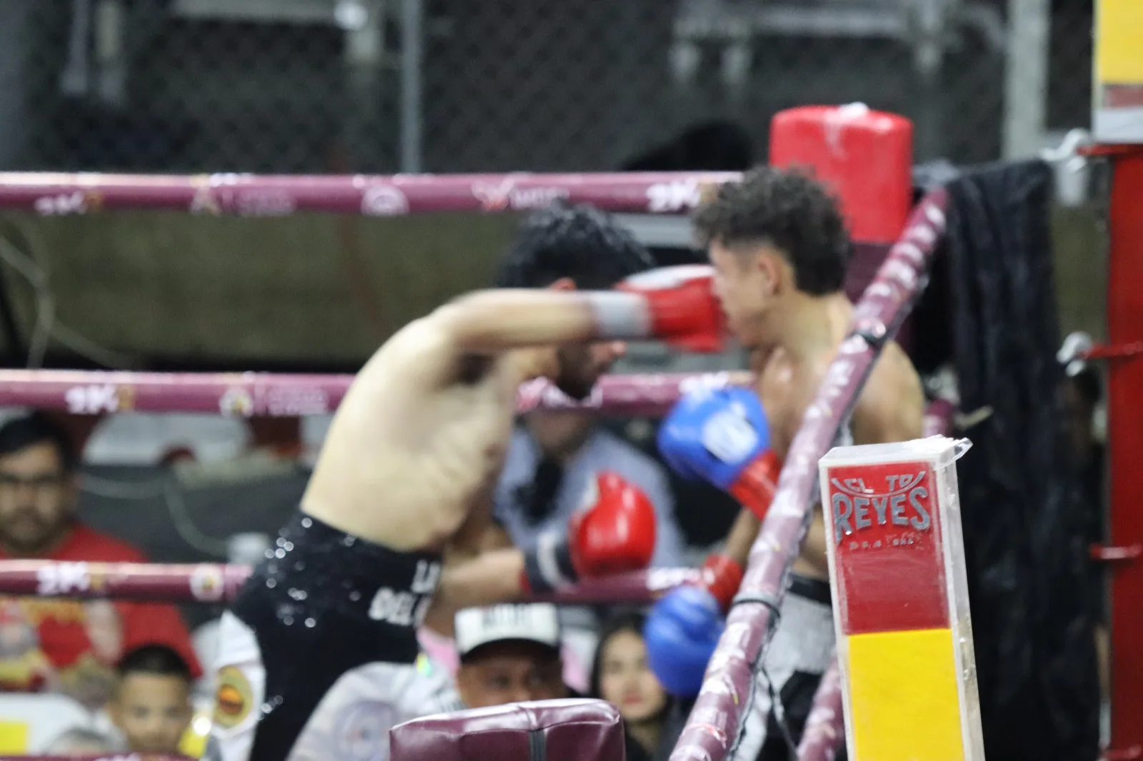 Boxeadores de Ciudad Juárez buscan clasificar al Mundial Sub-19 en Montenegro desde Tepic - imagen 2
