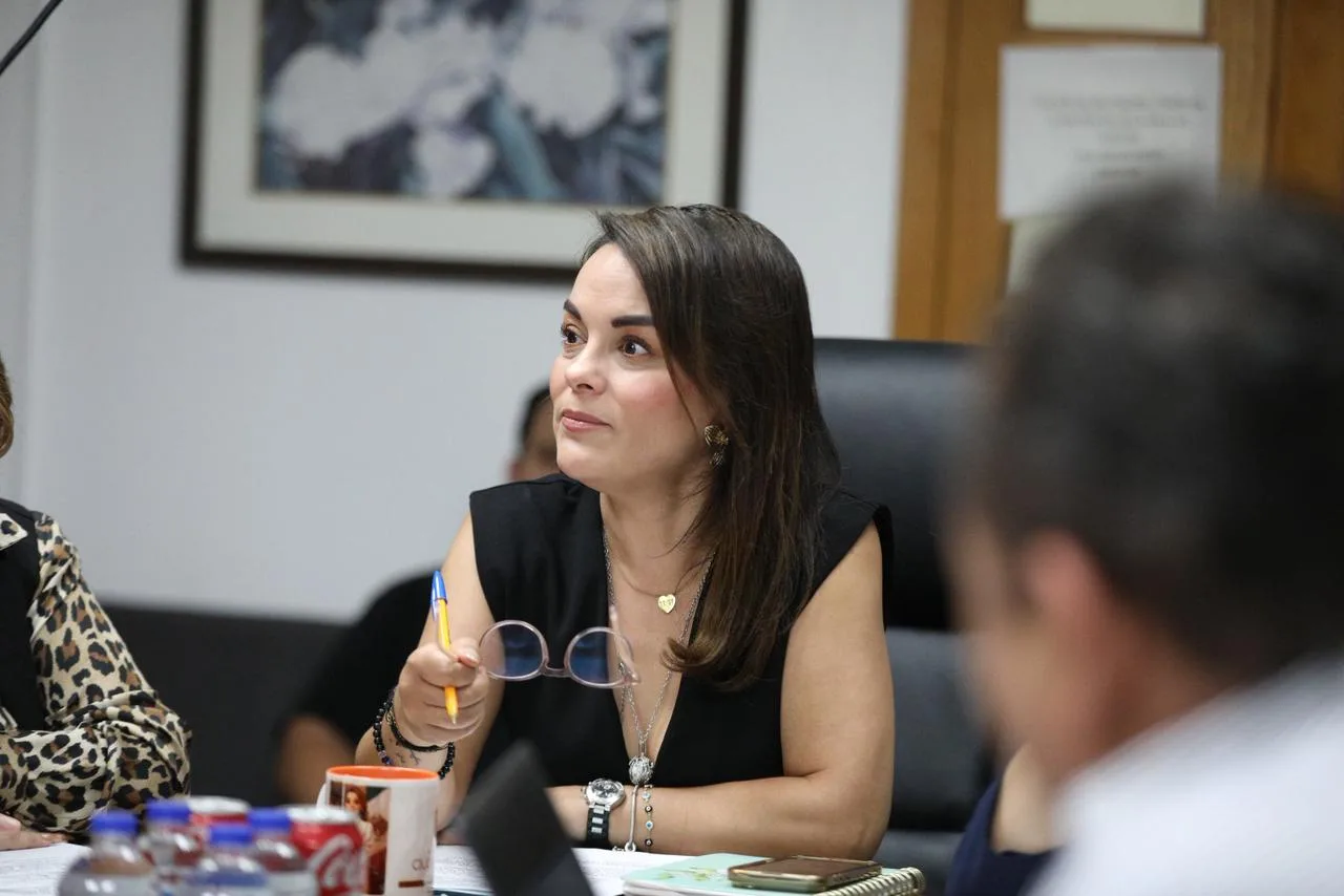 Comisión de Planeación revisa avances y pendientes de dependencias municipales en Juárez - imagen 3