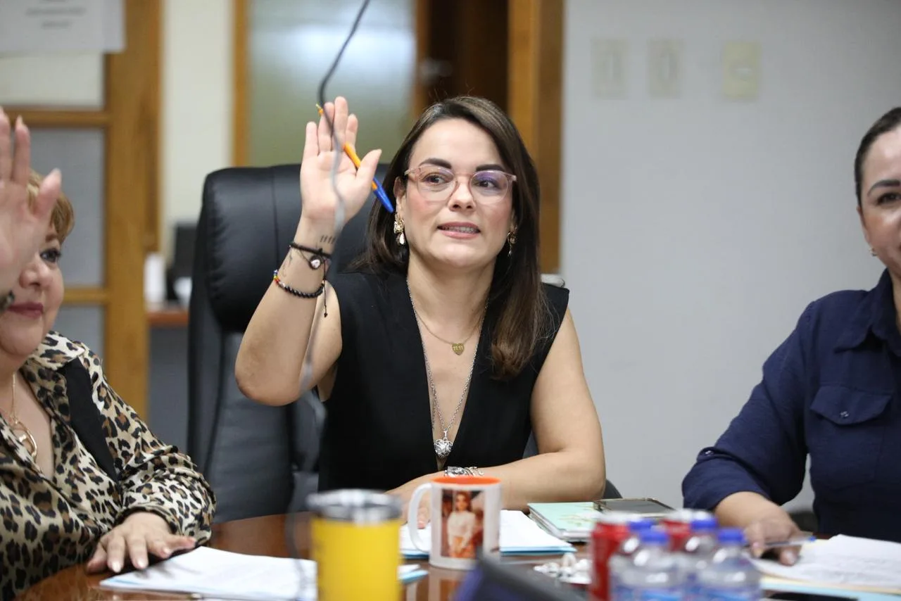Comisión de Planeación revisa avances y pendientes de dependencias municipales en Juárez - imagen 5