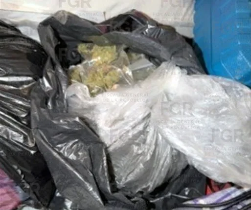 Detienen y vinculan a proceso a tres personas en Tlaxcala por delitos contra la salud y posesión de armas - imagen 4