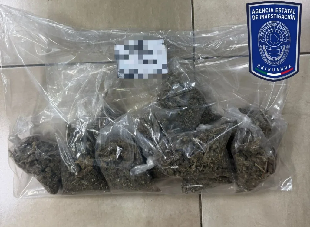 Detienen en Jiménez a un hombre por narcomenudeo y halconeo - imagen 1