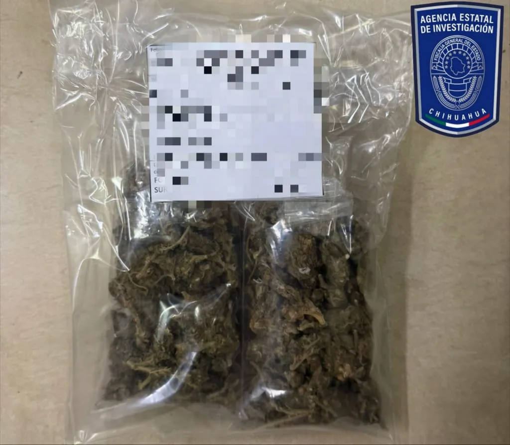 Aseguran dos motocicletas y droga en Jiménez durante operativo de la AEI y el Ejército Mexicano - imagen 2