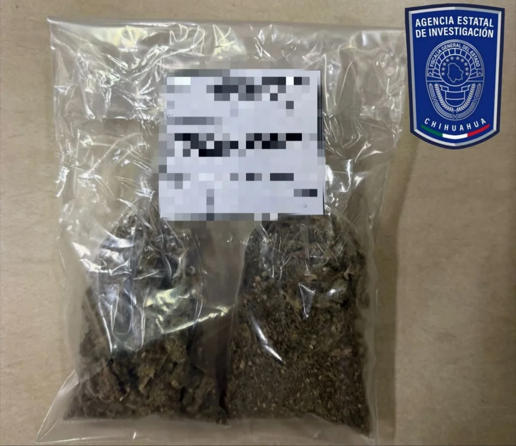 Aseguran dos motocicletas y droga en Jiménez durante operativo de la AEI y el Ejército Mexicano - imagen 3