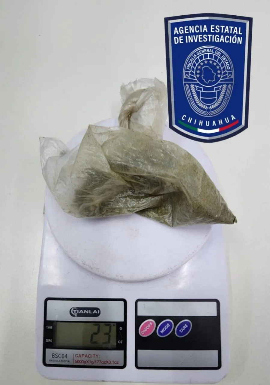 Detienen a tres hombres con mariguana en Madera y Cuauhtémoc, Chihuahua - imagen 8