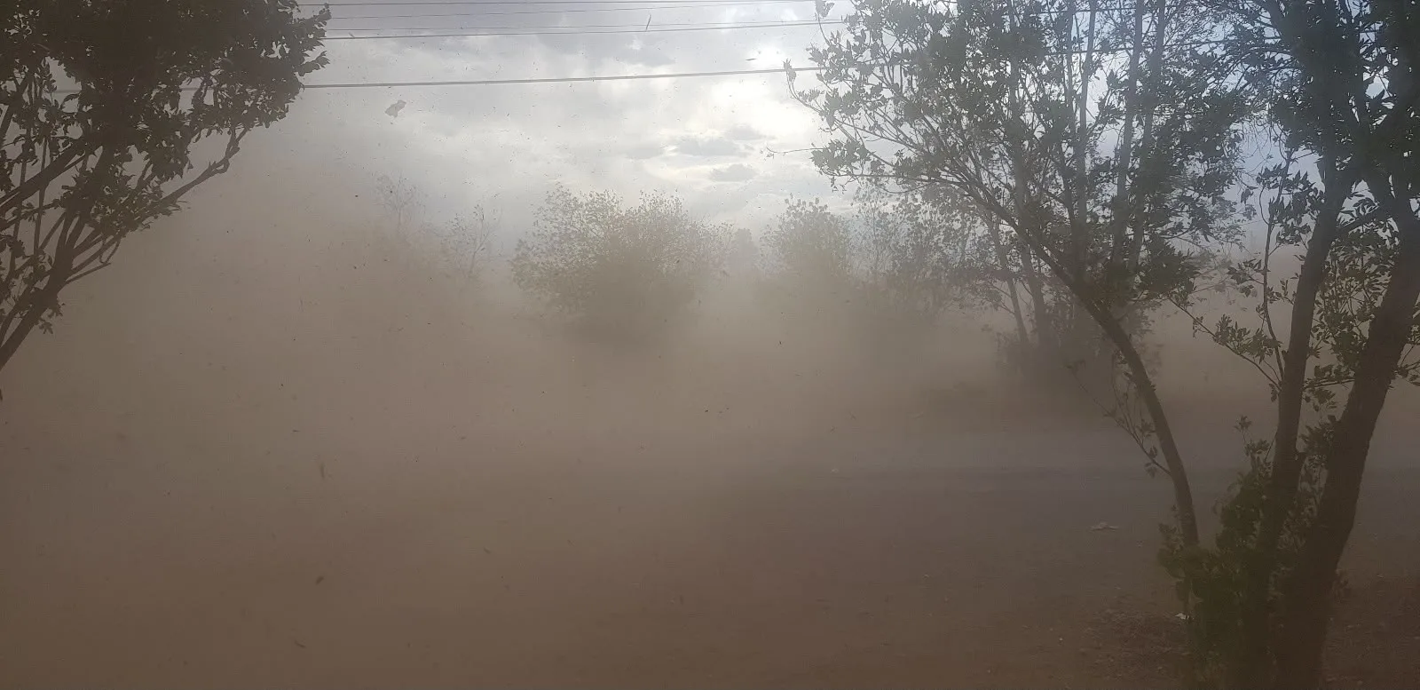 Protección Civil emite aviso preventivo por lluvias intensas y fuertes vientos en Chihuahua - imagen 1