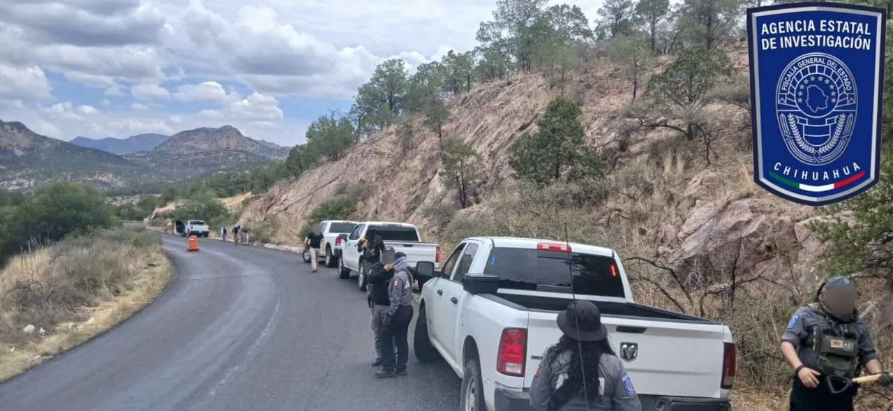 Localizan restos óseos en operativo de búsqueda en la carretera Parral-Guadalupe y Calvo - imagen 1