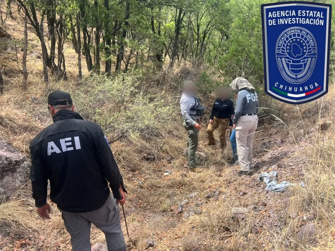 Localizan restos óseos en operativo de búsqueda en la carretera Parral-Guadalupe y Calvo - imagen 3
