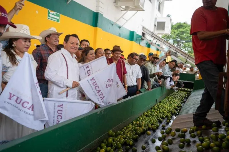 Joaquín Díaz Mena impulsa tecnología y apoyos para la producción citrícola en Yucatán - imagen 1
