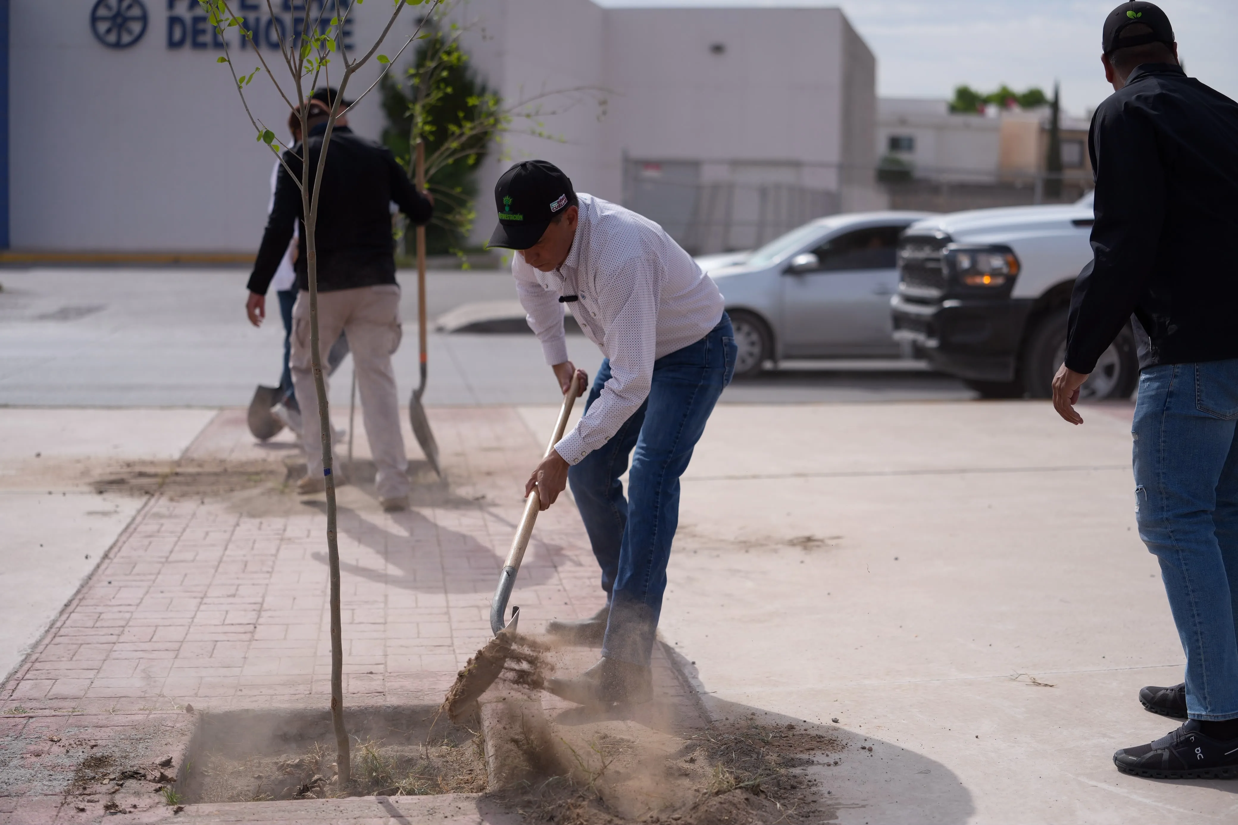 Plantan 98 árboles en Paseo de la Victoria y Antonio J. Bermúdez para ampliar áreas verdes en Ciudad Juárez - imagen 3