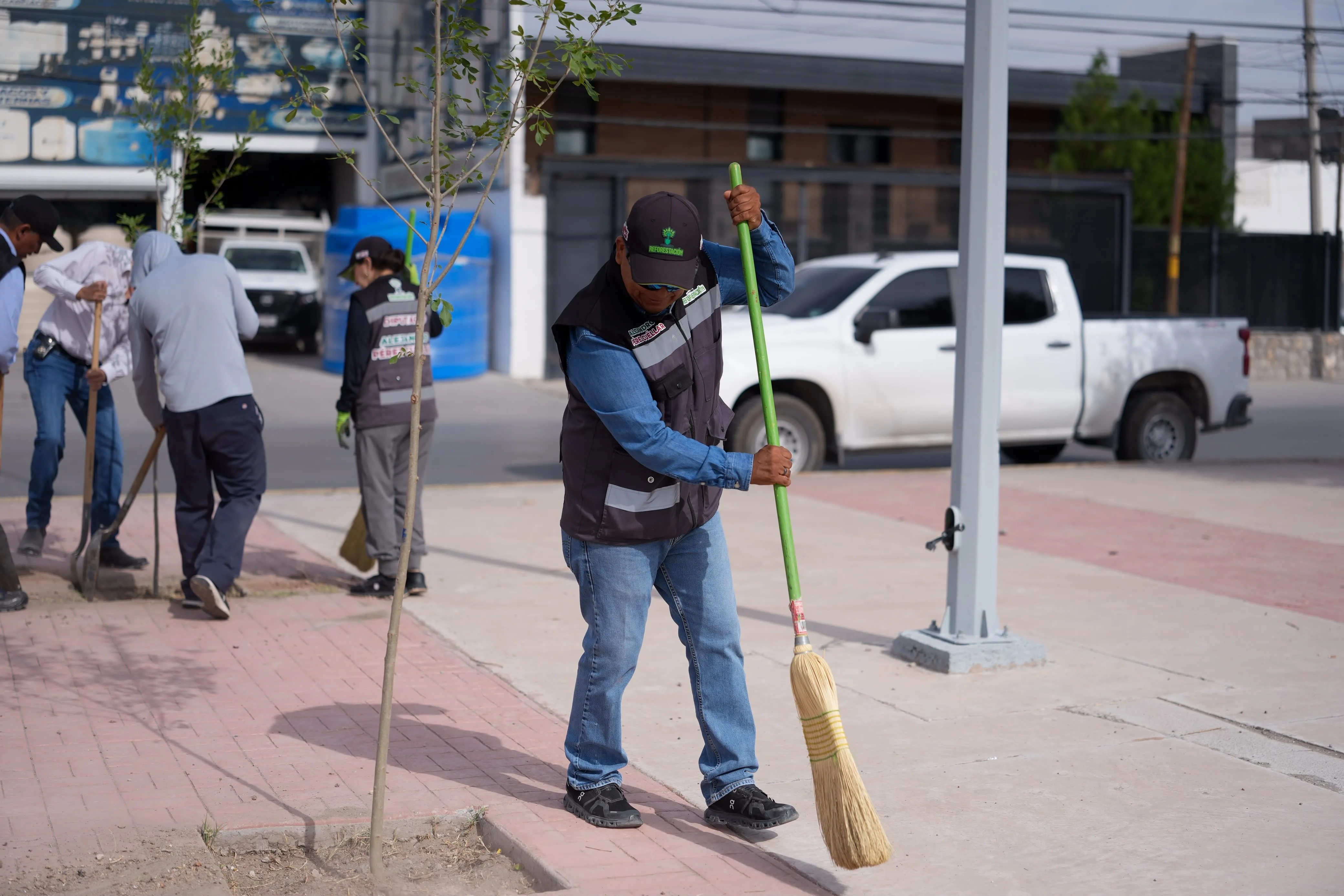 Plantan 98 árboles en Paseo de la Victoria y Antonio J. Bermúdez para ampliar áreas verdes en Ciudad Juárez - imagen 5