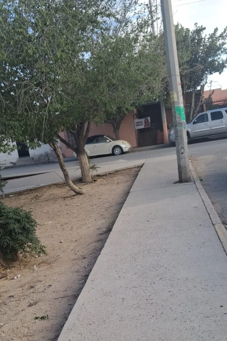 Cuadrillas de Limpia retiran basura acumulada en parque de la colonia Morelos IV en Juárez - imagen 4