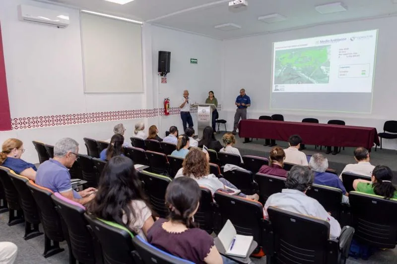 Especialistas crean red de carbono azul para conservar ecosistemas costeros en Yucatán - imagen 1