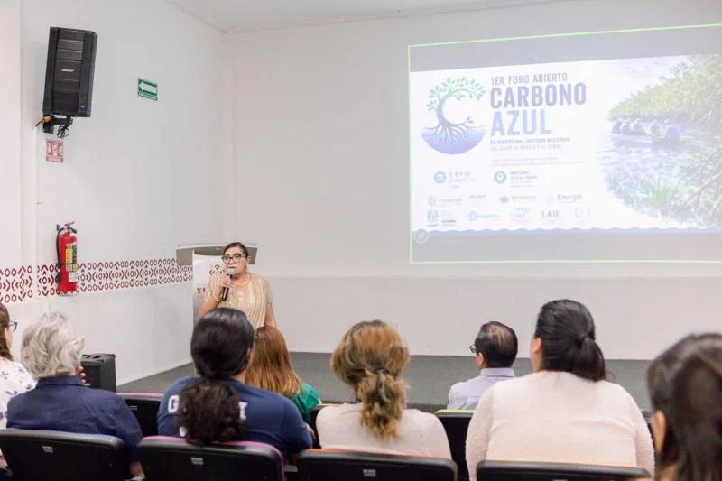 Especialistas crean red de carbono azul para conservar ecosistemas costeros en Yucatán - imagen 2