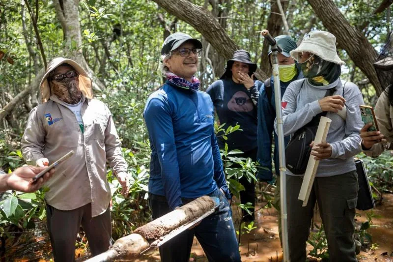 Especialistas crean red de carbono azul para conservar ecosistemas costeros en Yucatán - imagen 3