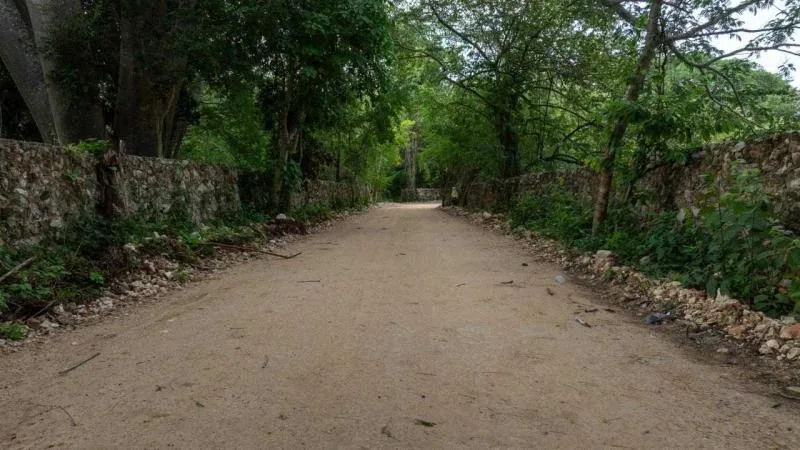 Yucatán impulsa la conectividad rural con 750 km de caminos para productores en 2026 - imagen 2
