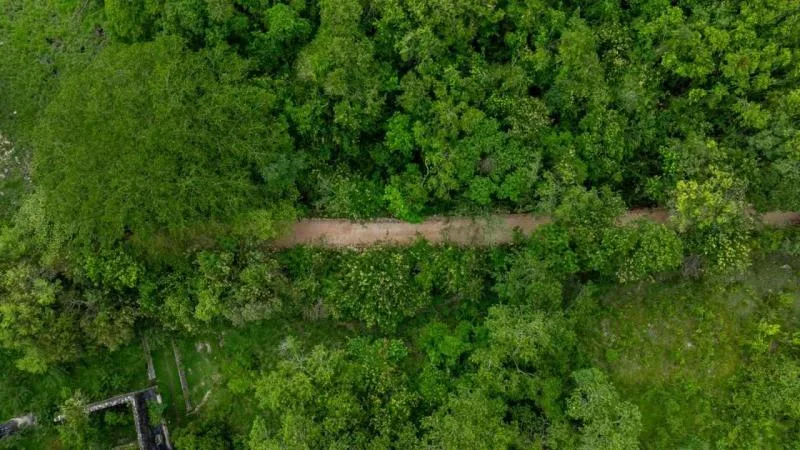 Yucatán impulsa la conectividad rural con 750 km de caminos para productores en 2026 - imagen 3