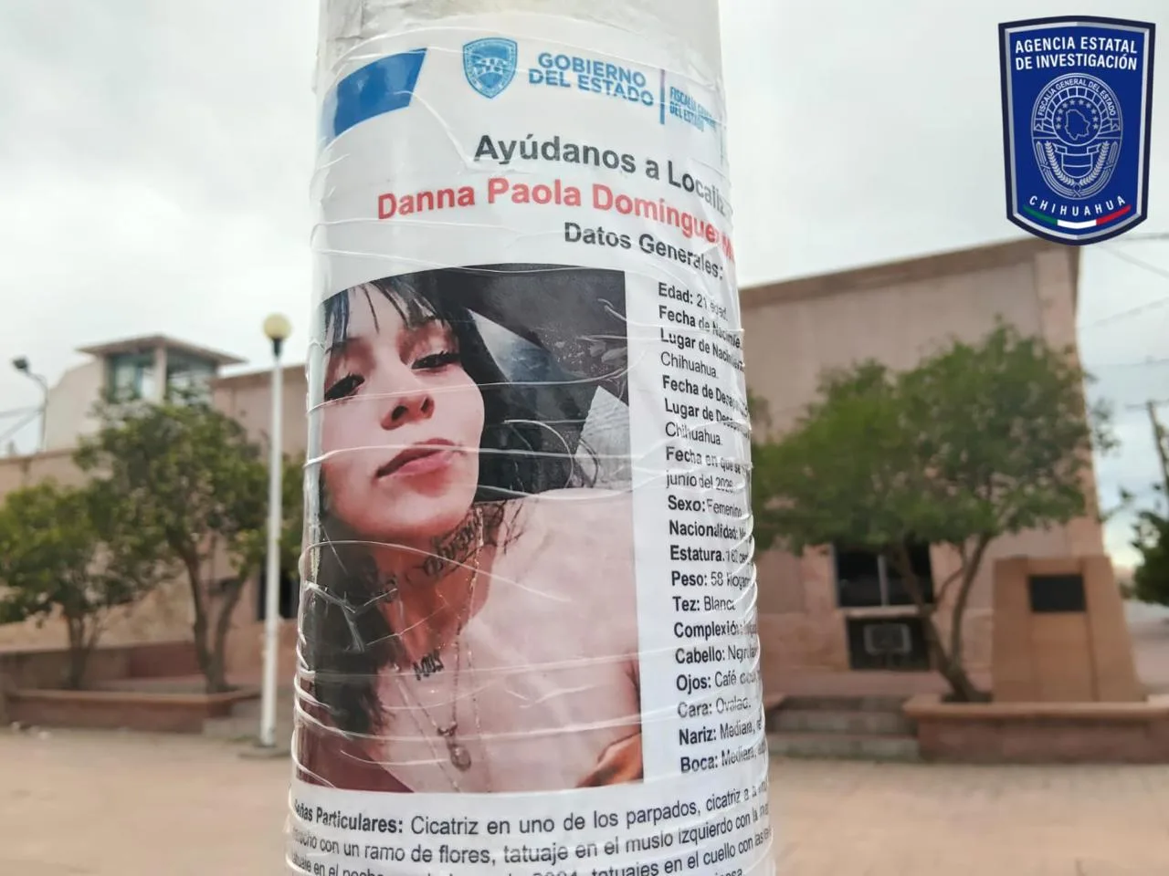 FGE mantiene operativos de búsqueda de personas ausentes en Nuevo Casas Grandes - imagen 1