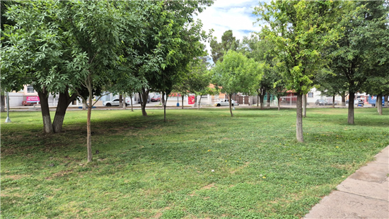 Chihuahua fortalece el mantenimiento de parques para mejorar espacios recreativos en la ciudad - imagen 5