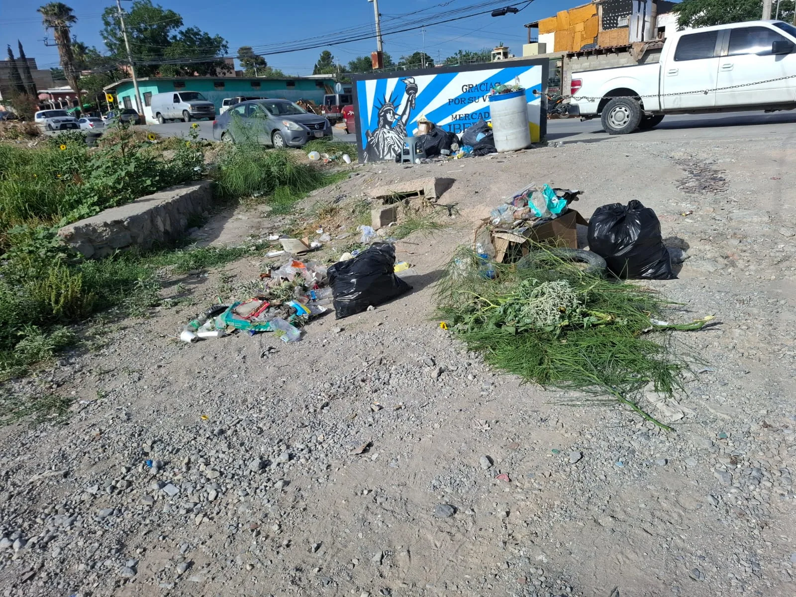 Comerciantes y ciudadanos participan en limpieza y reforestación en Mercado Libertad de Juárez - imagen 3