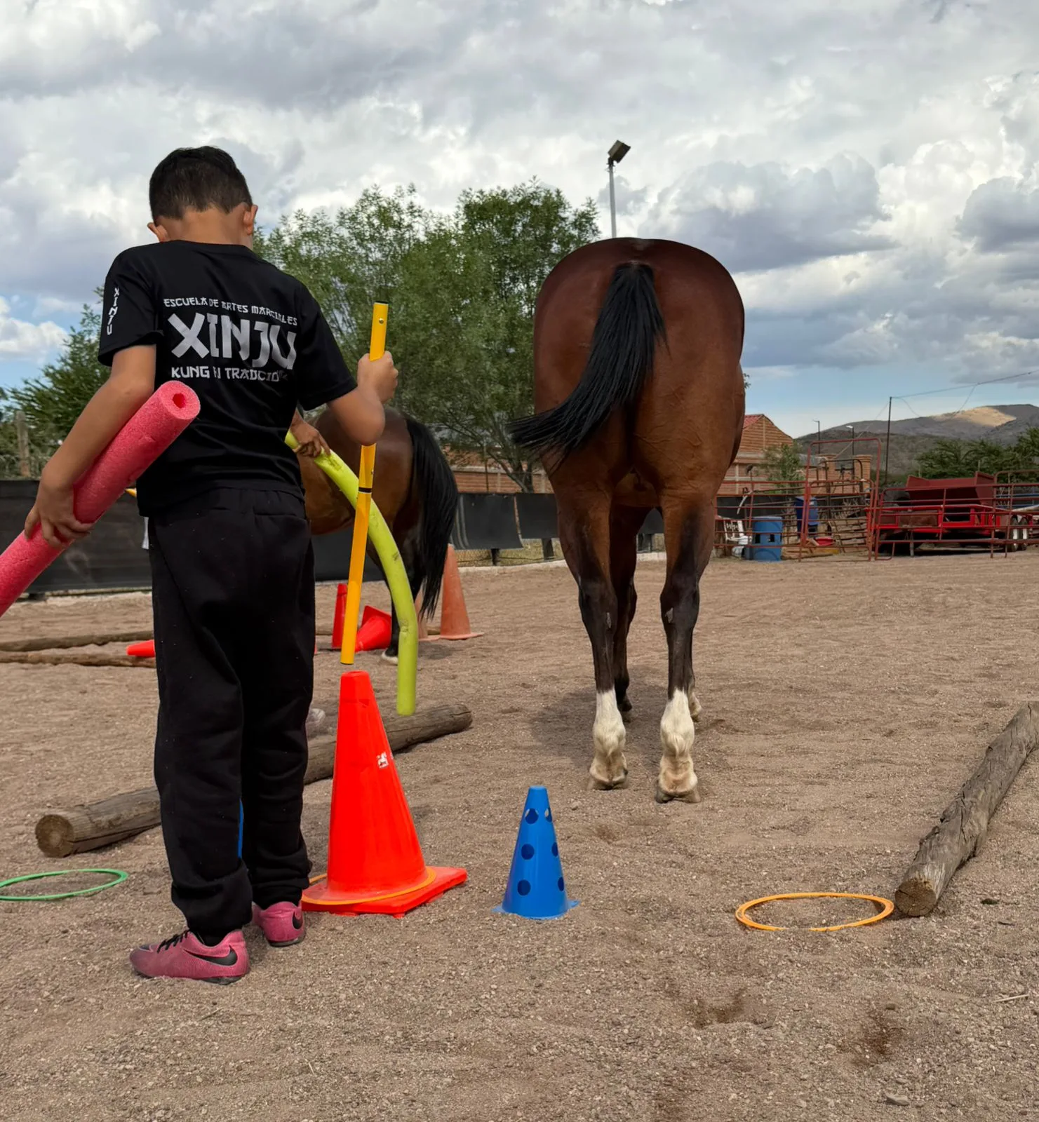 Fiscalía de Chihuahua impulsa terapia con caballos para atender a víctimas de delitos - imagen 4