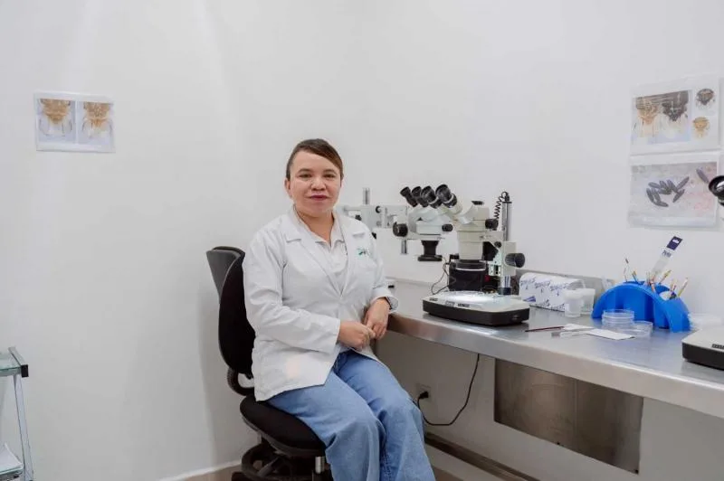 Yucatán abre convocatoria para apoyar proyectos científicos con hasta 500 mil pesos - imagen 2