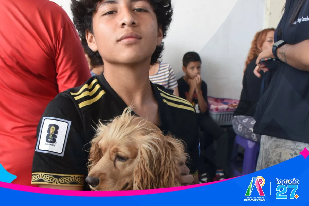 Irapuato realiza exitosa jornada de esterilización animal para promover el bienestar y controlar la población de mascotas - imagen 3