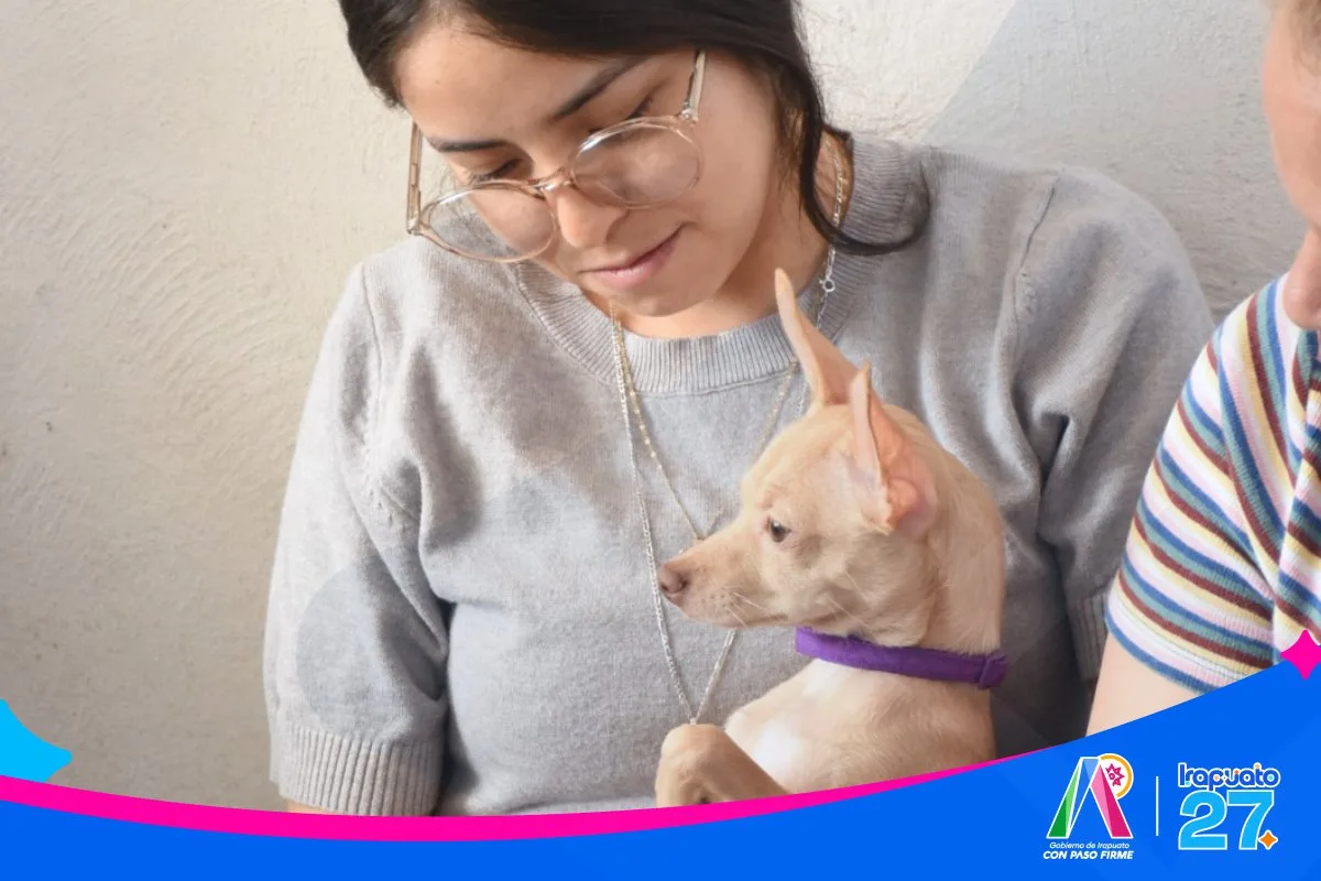 Irapuato realiza exitosa jornada de esterilización animal para promover el bienestar y controlar la población de mascotas - imagen 2