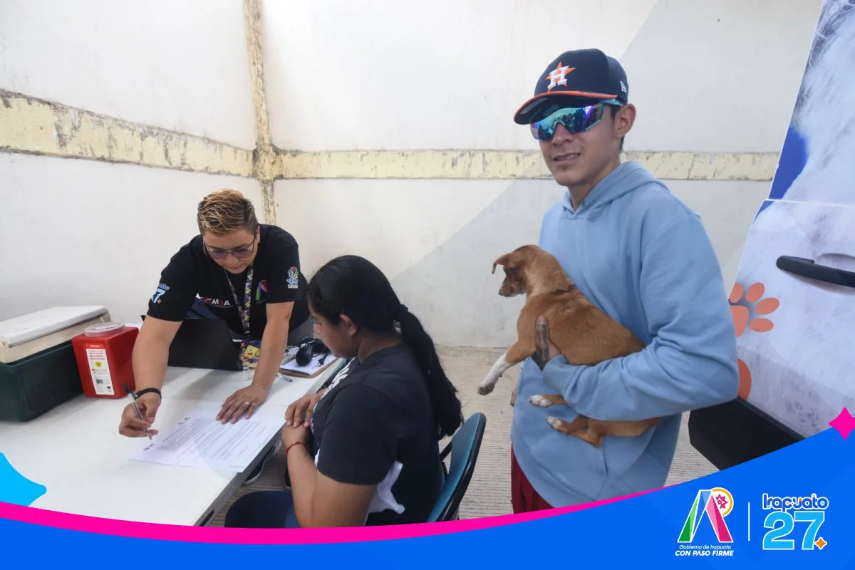 Irapuato realiza exitosa jornada de esterilización animal para promover el bienestar y controlar la población de mascotas - imagen 5