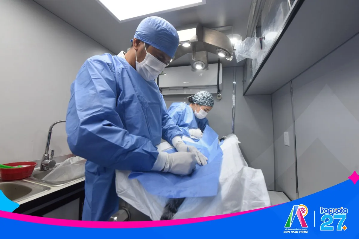 Irapuato realiza exitosa jornada de esterilización animal para promover el bienestar y controlar la población de mascotas - imagen 7