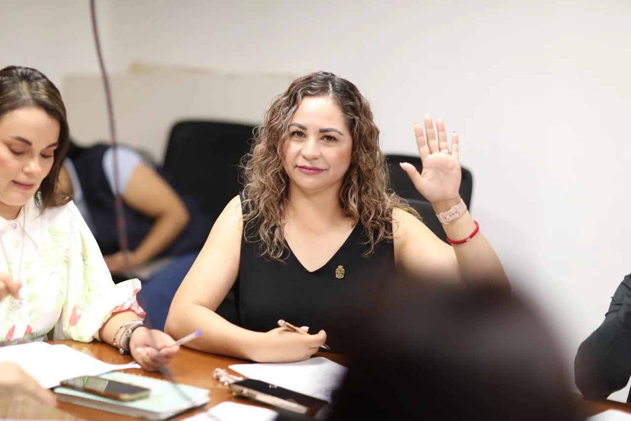 Coordinadora de Resiliencia presenta avances en proyectos para mejorar la ciudad de Juárez - imagen 2