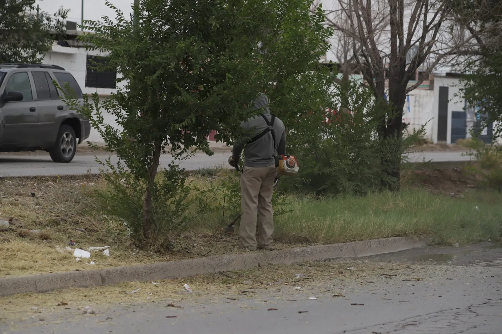 Realizan mantenimiento integral en camellón central de la calle Yepómera en Mérida - imagen 1