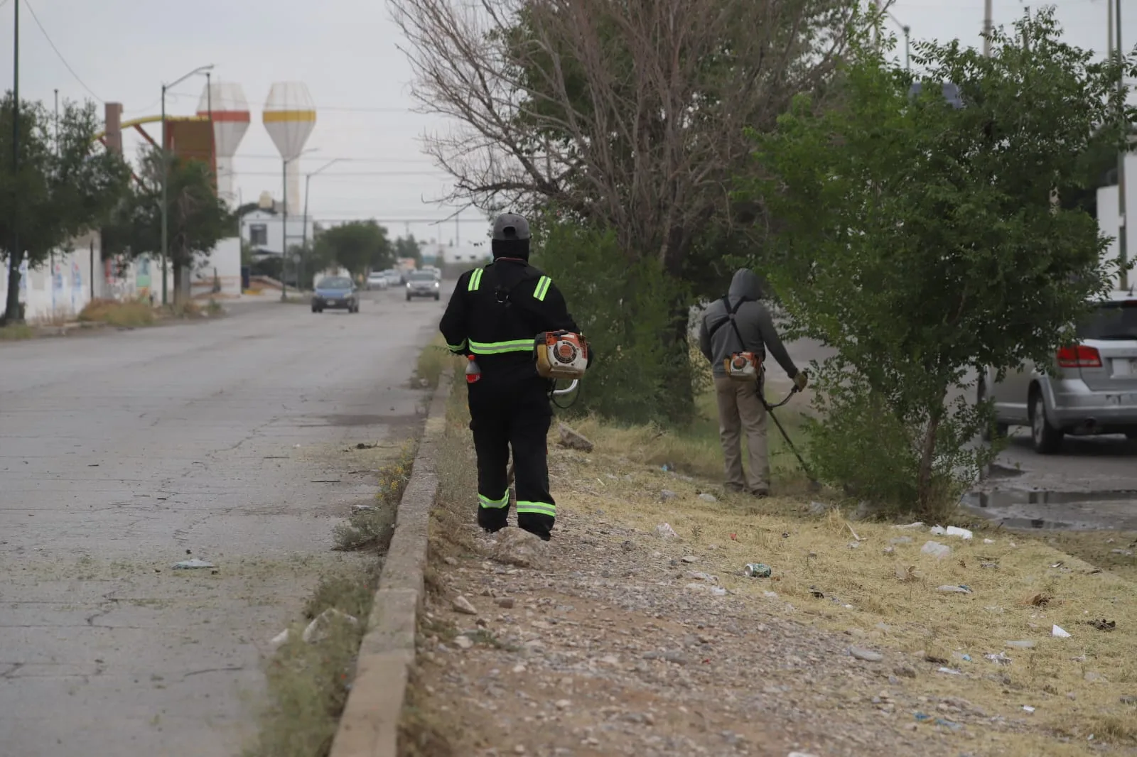 Realizan mantenimiento integral en camellón central de la calle Yepómera en Mérida - imagen 3