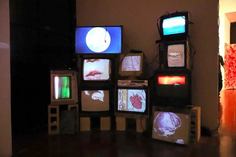 Exposición de cine experimental de estudiantes de la UNAY se presenta en Mérida - imagen 1