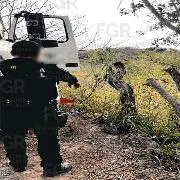 Sentencia de más de 13 años de prisión por sustracción de hidrocarburos en Oaxaca - imagen 3