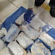 FGR incauta más de 10 kilos de metanfetamina en Guadalajara tras intervención en paquetería - imagen 1