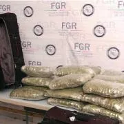 Sentencia de más de nueve años de prisión por tráfico de marihuana en San Luis Potosí - imagen 3