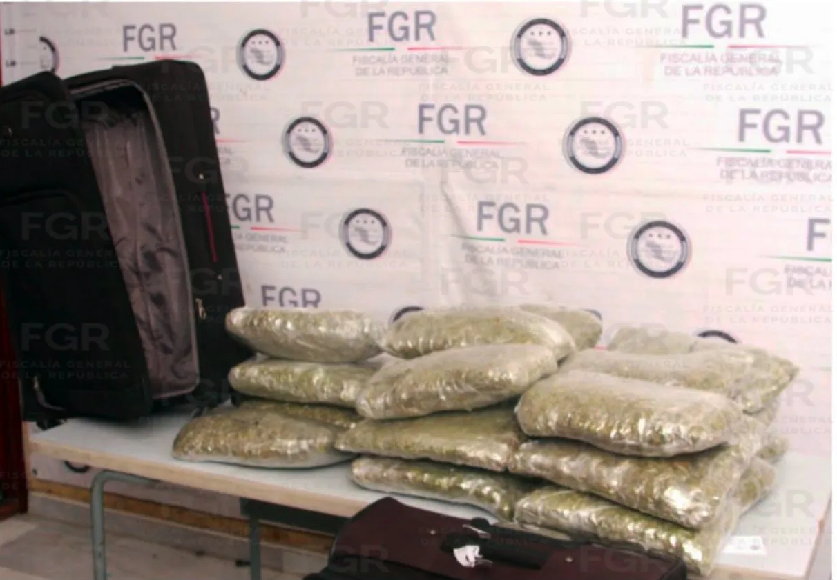 Sentencia de más de nueve años de prisión por tráfico de marihuana en San Luis Potosí - imagen 2