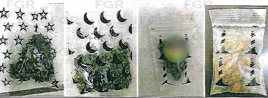 Sentencia condenatoria en Baja California Sur por posesión de drogas y más de 460 envoltorios incautados - imagen 2