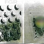 Sentencia condenatoria en Baja California Sur por posesión de drogas y más de 460 envoltorios incautados - imagen 3