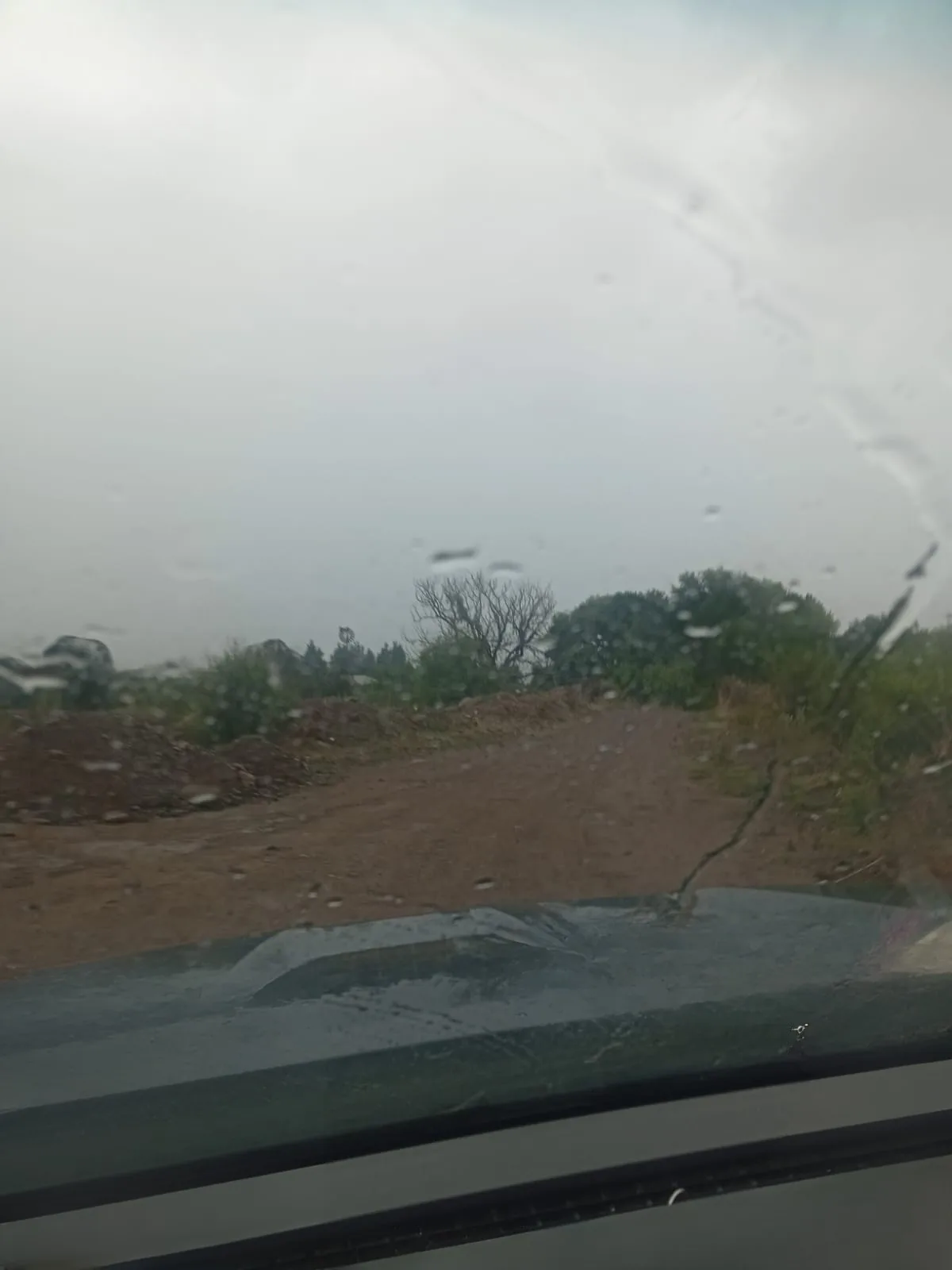 Protección Civil reporta cortos circuitos, inundaciones y caída de árboles por lluvias en Chihuahua - imagen 1