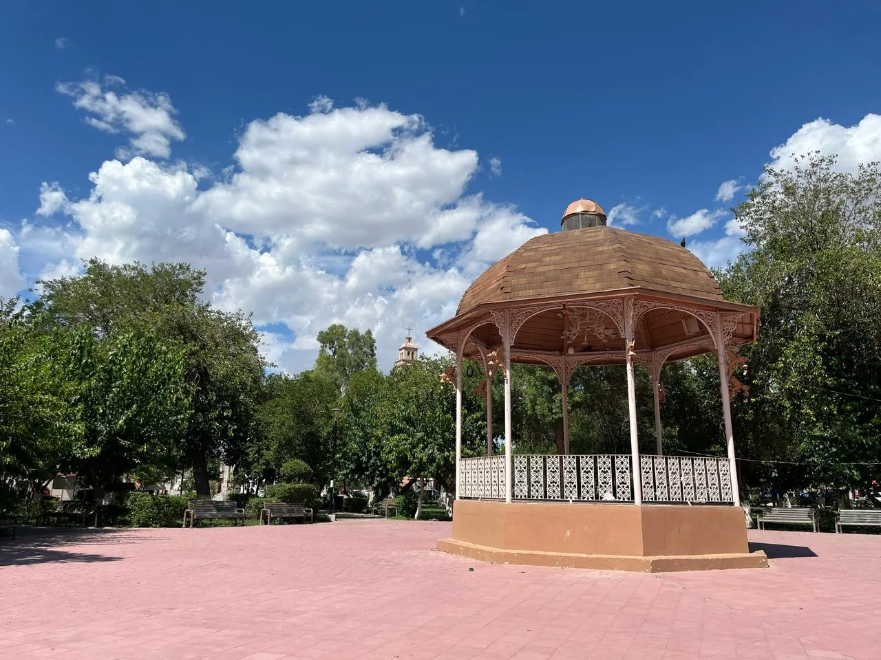 Presentan Paldama.com, plataforma para promover el turismo en Aldama, Chihuahua - imagen 11
