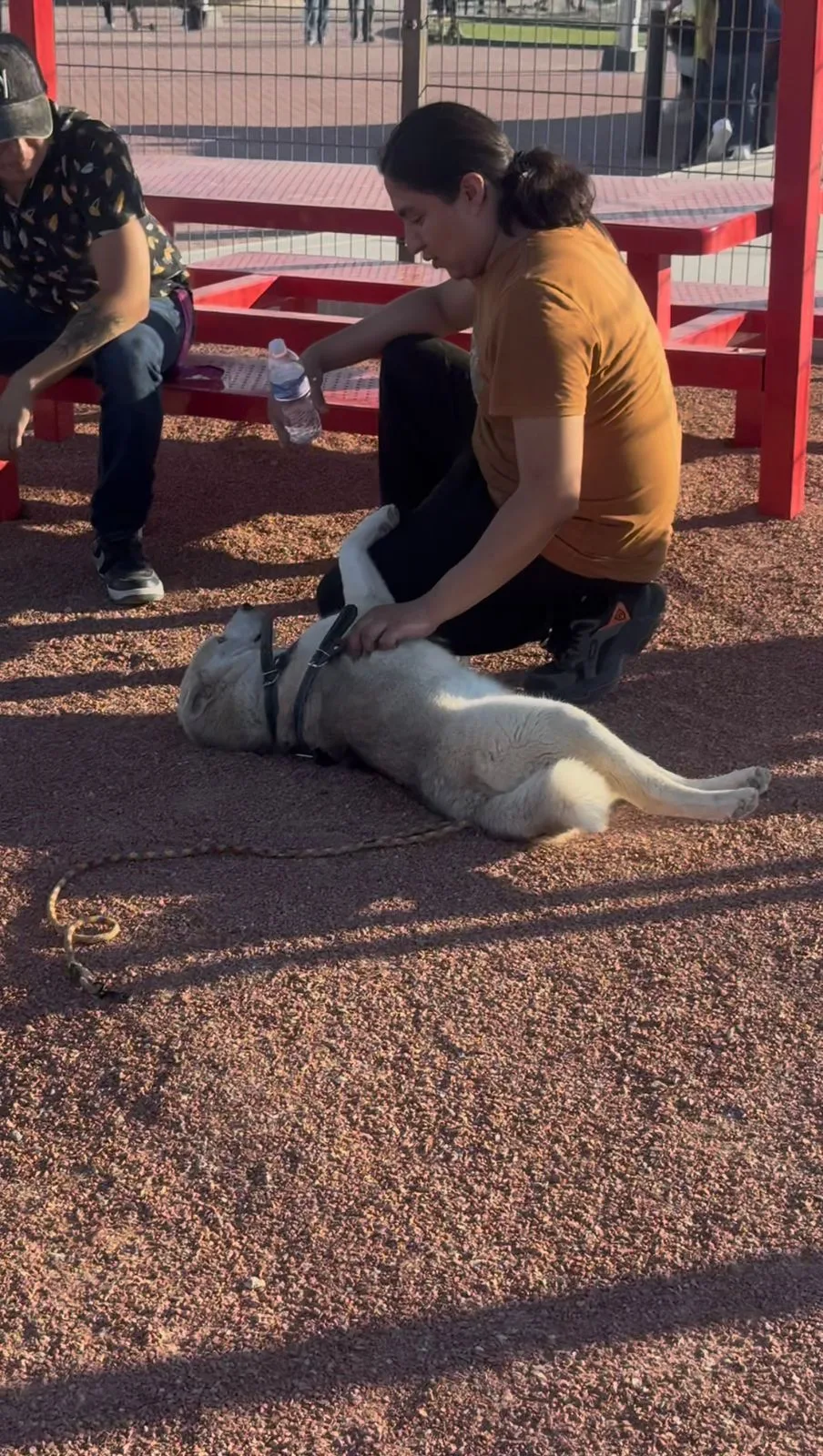 Parque Urbano Suroriente en Durango abre área especial para pasear mascotas - imagen 1