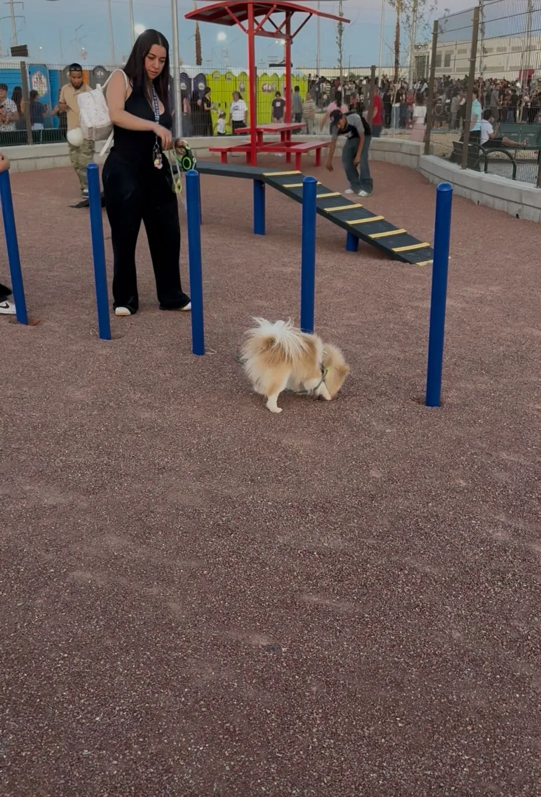 Parque Urbano Suroriente en Durango abre área especial para pasear mascotas - imagen 2