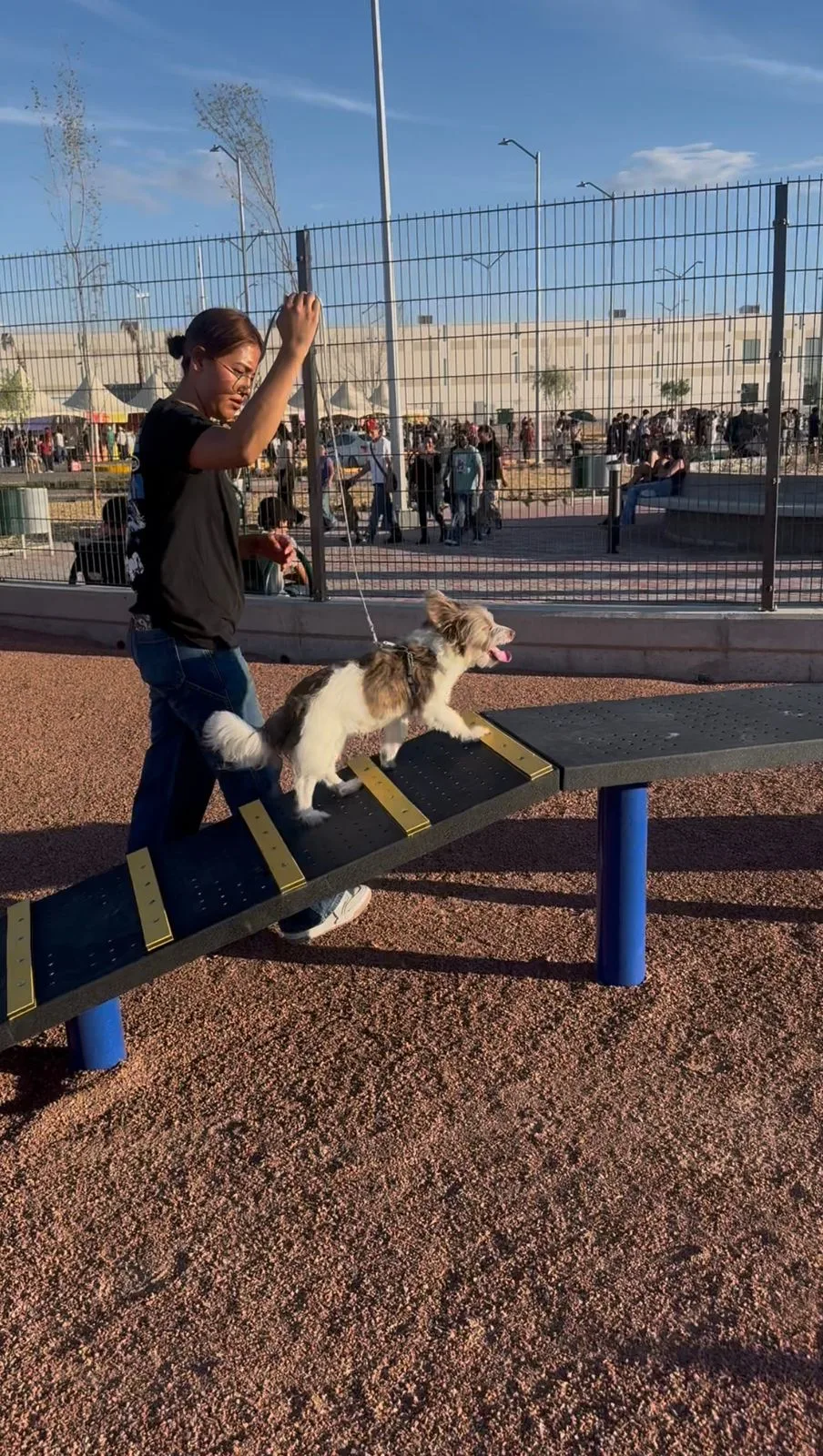Parque Urbano Suroriente en Durango abre área especial para pasear mascotas - imagen 7