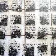 FGR vincula a proceso a dos personas en Baja California Sur por armas y drogas en Comondú - imagen 1