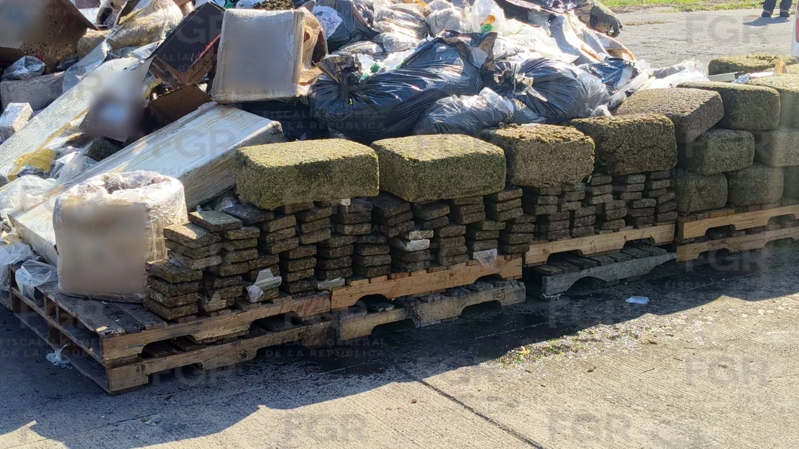 FGR incinera en Jalisco más de dos toneladas de narcóticos en operativo conjunto - imagen 4