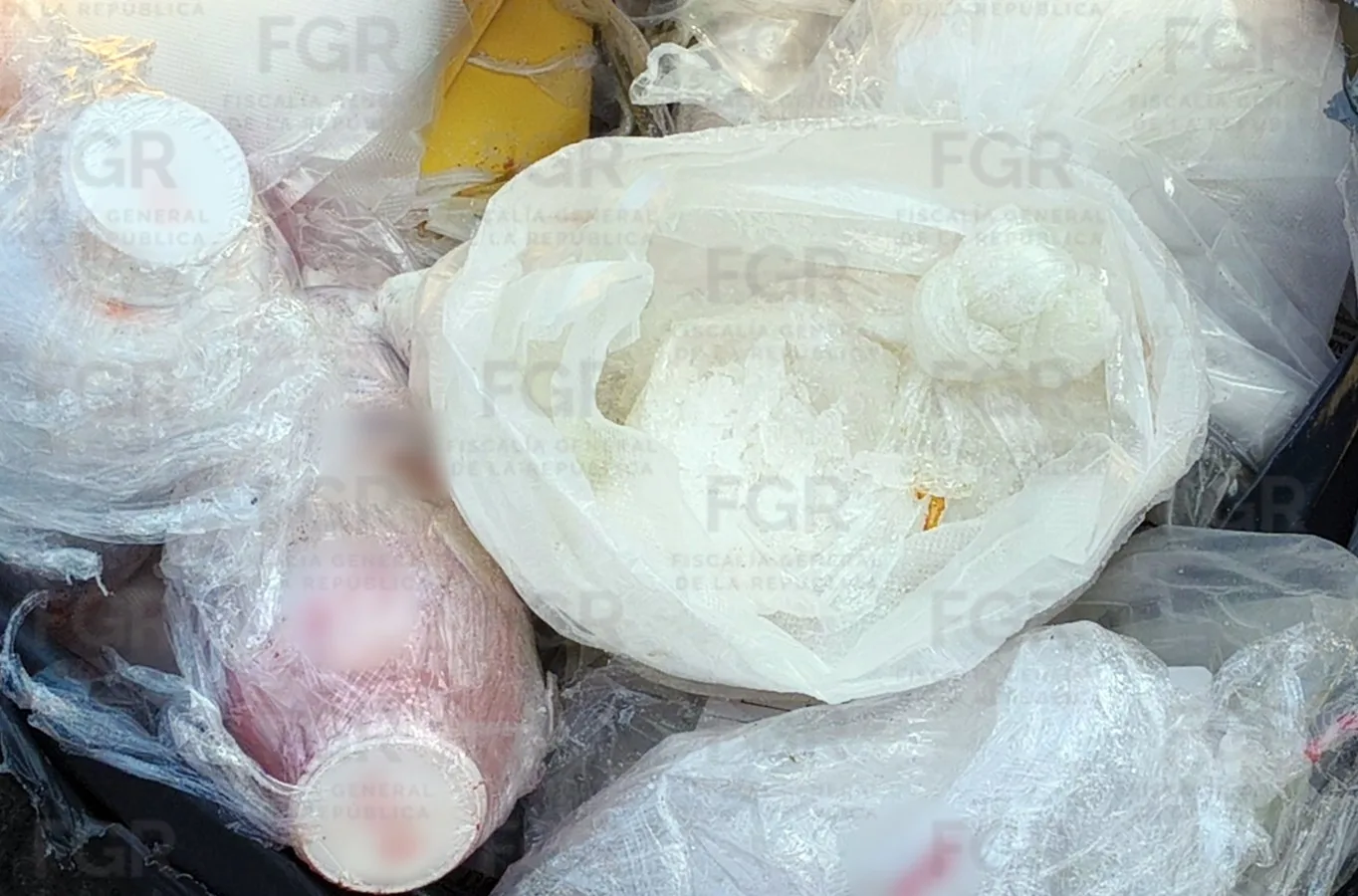 FGR incinera en Jalisco más de dos toneladas de narcóticos en operativo conjunto - imagen 8
