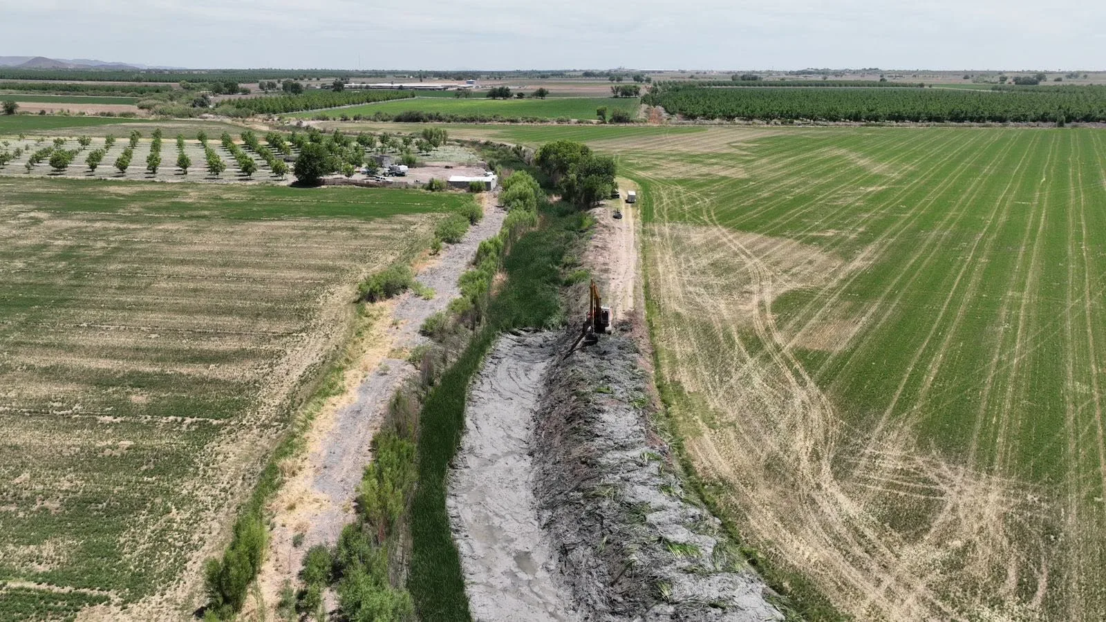 SDR lanza convocatoria de apoyos para conservación y restauración de recursos naturales en Chihuahua - imagen 1