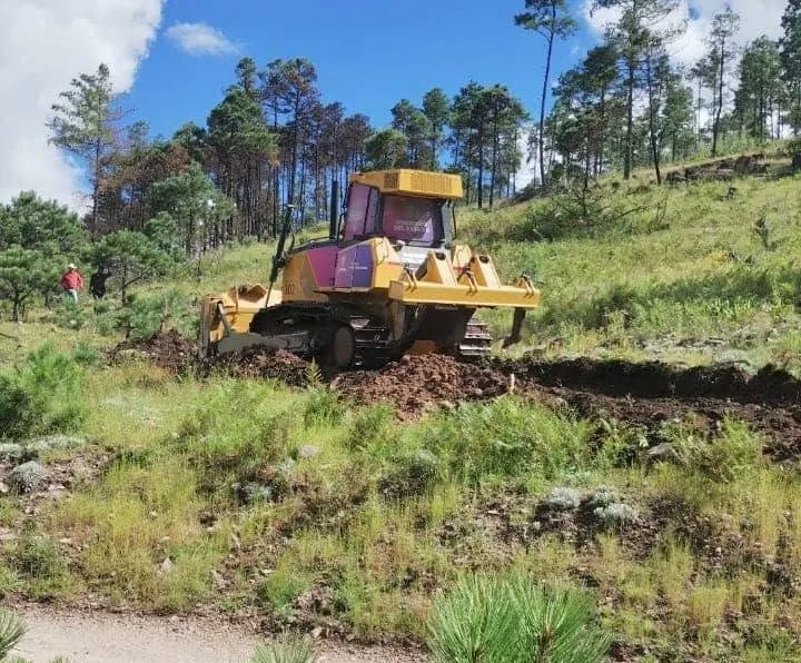 SDR lanza convocatoria de apoyos para conservación y restauración de recursos naturales en Chihuahua - imagen 2